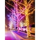 thumbnail image 1 of 100 Led Solar Powered Copper Wire String Lights With Waterproof Function For Outdoor Decorations, Christmas, Courtyard And Garden, 1 of 5