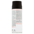 thumbnail image 3 of Rust-Oleum Engine Enamel, 3 of 4