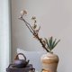 thumbnail image 3 of Cactus artificiales realistas, suculentas falsas para escritorio de oficina, adorno de cactus, accesorios de decoración del hogar, 3 of 8