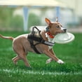 thumbnail image 4 of HAHDAXIA Service Dog Harness, No Pull Easy On and Off Pet Vest Harness, 3M Reflective Breathable & Easy Adjust Pet Halters with Nylon Handle - No More Tugging or Choking for Small Medium Larg, 4 of 7