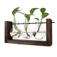 thumbnail image 3 of Hydroponic Vase Simple Decorative Glass Flower Vase Plant Terrarium with Wooden Stand, 3 of 5