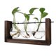 thumbnail image 3 of Florero Hidropónico Hidropónico, Florero De Cristal Decorativo Simple, Terrario De Planta Con Soporte De Madera, 3 of 8