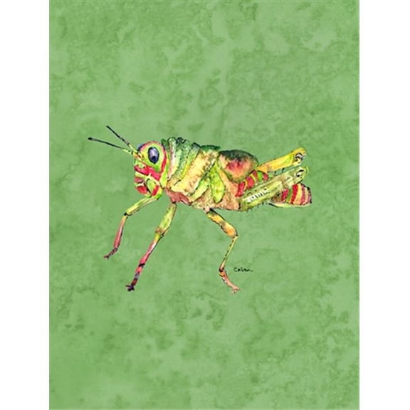 11 x 15 In. Grasshopper On Avacado Flag, Garden Size
