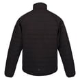 thumbnail image 2 of Regatta - Chaqueta Acolchada Bennick 2 en 1 para Hombre (Negro), 2 of 4