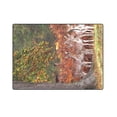 thumbnail image 3 of CADecor Sika Deer Under a Big Tree Fleece Throw Blanket 58x80 inches, 3 of 3