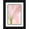 thumbnail image 1 of Murdock, Ramona 23x32 Black Ornate Wood Framed with Double Matting Museum Art Print Titled - Lily on Canvas, 1 of 4