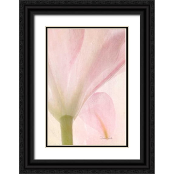Murdock, Ramona 23x32 Black Ornate Wood Framed with Double Matting Museum Art Print Titled - Lily on Canvas