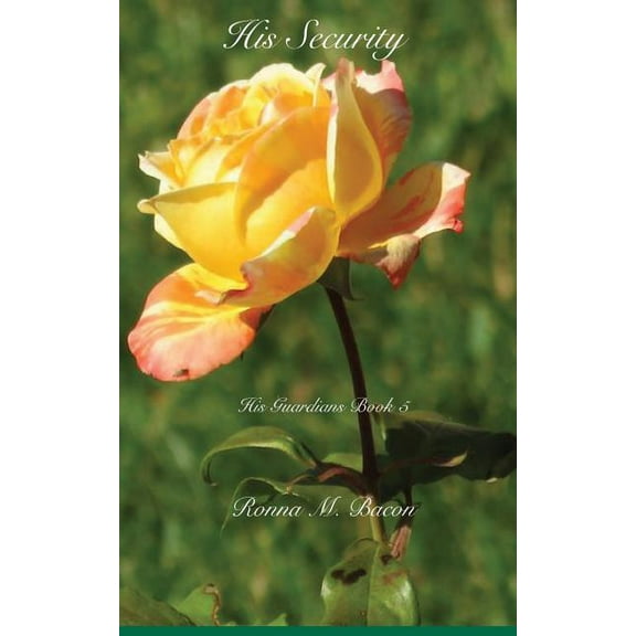 His Guardians His Security, Book 5, (Paperback)