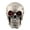 C, variant on Harliver Halloween Skull Heads with LED Light Up Glowing Eyes, Skull Figurine Miniature Skeleton Head Table Decor, Human Skeleton Head Gothic Tabletop Figurine for Halloween Decoration