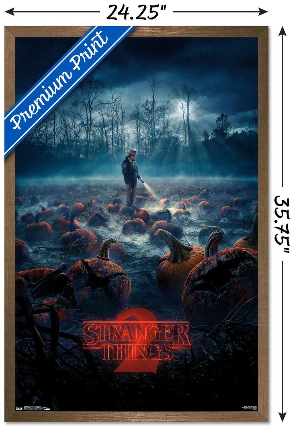 Netflix Stranger Things : Saison 2