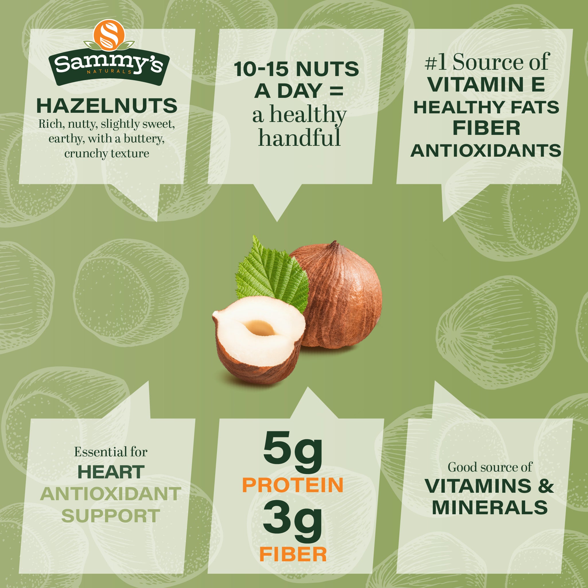 Sammys Naturals Raw Hazelnuts With Skin, Whole Filberts (32oz - 2 lbs) Non-GMO, Kosher