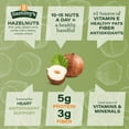 thumbnail image 4 of Sammys Naturals Raw Hazelnuts With Skin, Whole Filberts (16oz - 1 lb) Non-GMO, Kosher, 4 of 8