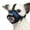 Comfy-Blue, variant on Dog Muzzle, Breathable Mesh Muzzles for Small Dogs 5-15bls, Chihuahua Muzzle for Biting Barking, Adjustable Puppy Muzzle XS Extra Small Muzzle (Comfy-Purple)