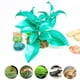 thumbnail image 2 of de acuario artificial Platos de plástico agua Decoración Ornamento 5 # Gloria Hierba artificial del acuario, 2 of 8