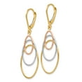 thumbnail image 2 of Leslie's Real 14kt Tri-color Leverback Earrings; for Adults and Teens; for Women and Men, 2 of 3