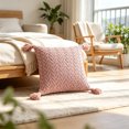 thumbnail image 3 of Tassel Throw Pillow Covers 18 x 18in Boho Decorative Pillow Covers with Fringe, Soft Washable Cushion Cases for Sofa Couch Bed Bedroom Living Room Home Decor, 3 of 8