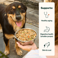 thumbnail image 5 of The Farmer’s Dog Food Personalized Meal Plan Subscription, Chicken & Grain Recipe, Fresh Human-Grade Dog Food For all Breeds & Sizes, 5 of 8