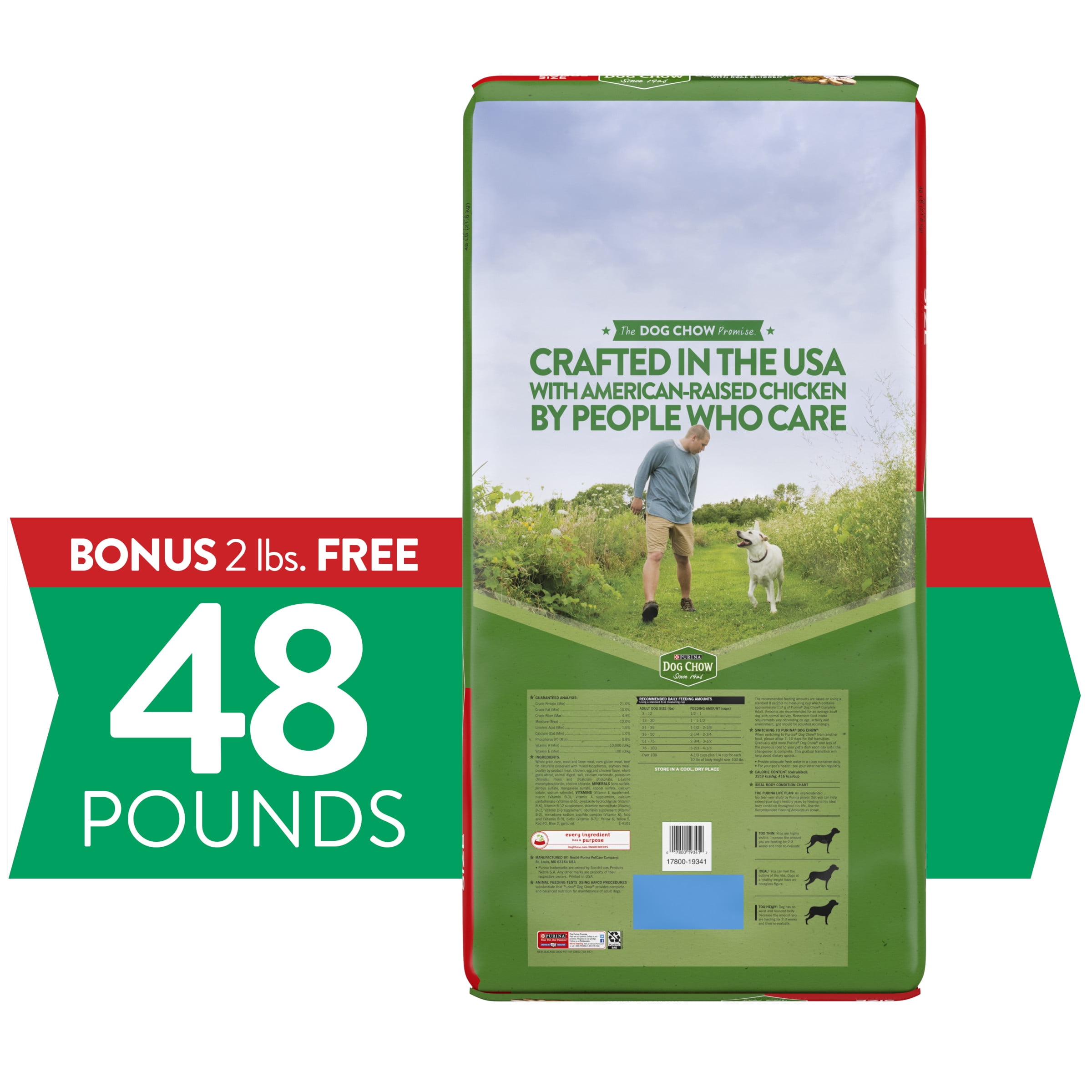 purina dog chow complete adult with real beef