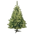 thumbnail image 1 of Árbol de Navidad, abeto Kincaid de National Tree Company, 4 pies, 1 of 7