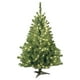 thumbnail image 1 of Árbol de Navidad, abeto Kincaid de National Tree Company, 4 pies, 1 of 7