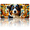 Australian Shepherd, variant on 1 Pcs 2D Flat License Plate Covers & Frames, Sea Turtle For Decorative Front, Waterproof For Decoration Aluminum License Plate Covers & Frames Cover For Men Women, 12" X 6"