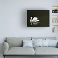 thumbnail image 3 of Ben Heine 'Swan 2' Canvas Art, 3 of 3