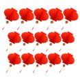 thumbnail image 4 of MasteelfCA 20 Pcs Lanternes Rouges du Nouvel An Lanternes en Nid d'Abeille Décorations de Festival du Printemps, 4 of 7