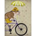 thumbnail image 2 of Fab Funky 19x24 White Modern Wood Framed Museum Art Print Titled - English Bulldog on Bicycle, 2 of 4