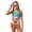 Sea Axolotl Fish, variant on POLERO Big Girls Two Piece Tankini Set with Boyshorts Removable Pads Zebra Stripes Art Print Sun Protection Breathable Swimwear