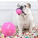 thumbnail image 3 of Bola de juguete para limpiar los dientes de los perros | Diseño de TPR hueco masticable | Juego de lanzamiento de bolas doradas | Suministro de juego duradero para mascotas | Juego interactivo con, 3 of 6