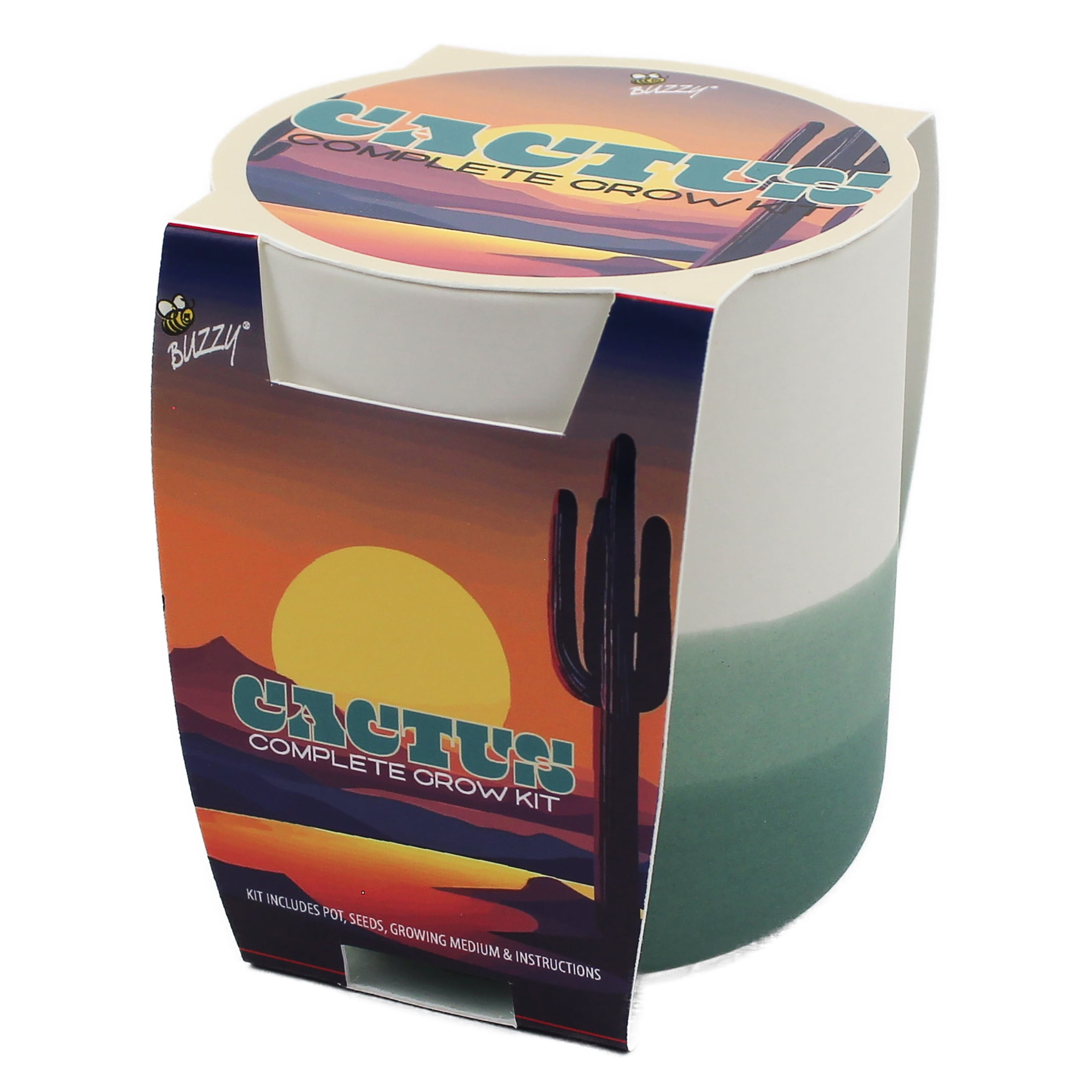 Buzzy Ombre Ceramic Desert Cactus Succulent Grow Kit