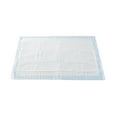 thumbnail image 3 of McKesson Ultra Breathable Underpads, Incontinence Bed Pads, Heavy Absorbency, 23 in x 36 in, 60 Ct, 3 of 6