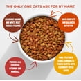 thumbnail image 3 of Meow Mix Tender Centers Dry Cat Food, Salmon & Chicken, 3 Pound, Crunchy Outside Meaty Inside, 3 of 4