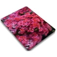 thumbnail image 5 of KSK KAISHEK Hard Shell Case Cover Compatible MacBook Air 13 inchs( Not Retina Display, 2010 2011 2012 2013 2014 - 2017) + Black Keyboard Cover Model A1466/A1369, No USB-C Flower 1765, 5 of 5