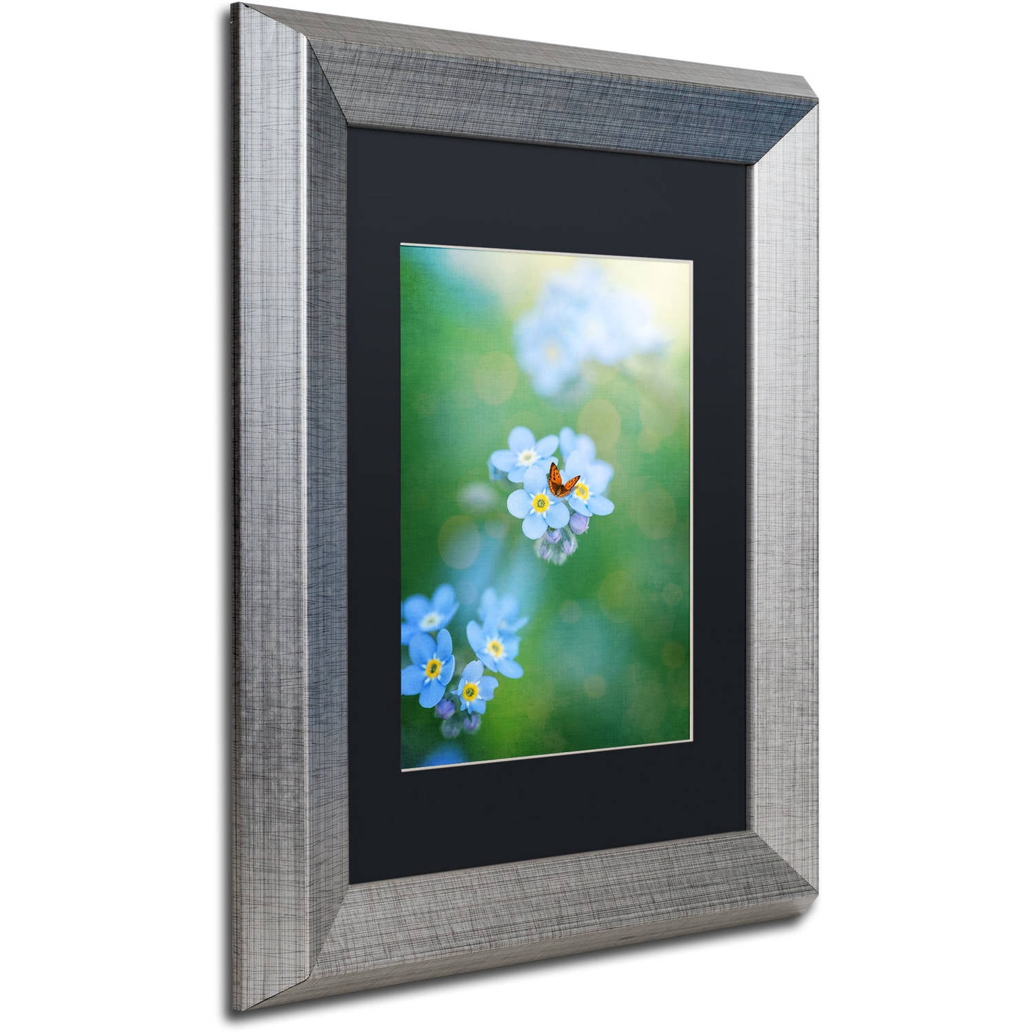 Trademark Fine Art "Forget-Me-Not" Canvas Art by Philippe Sainte-Laudy, Black Matte, Silver Frame