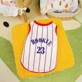 thumbnail image 3 of Adorable Pet Clothes for Cats & Small Dogs - Charming Spring & Autumn Wear., 3 of 4