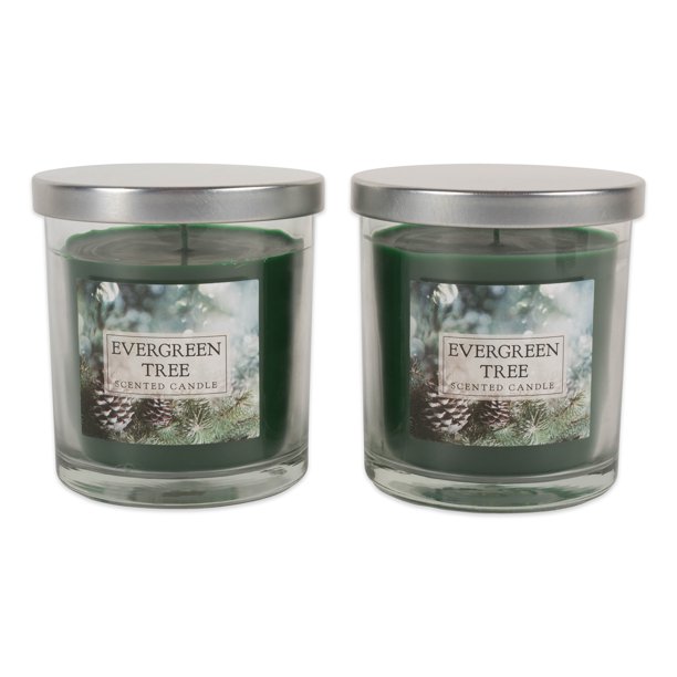 Home Traditions Single Wick Evenly Burning Highly Scented Jar Candle