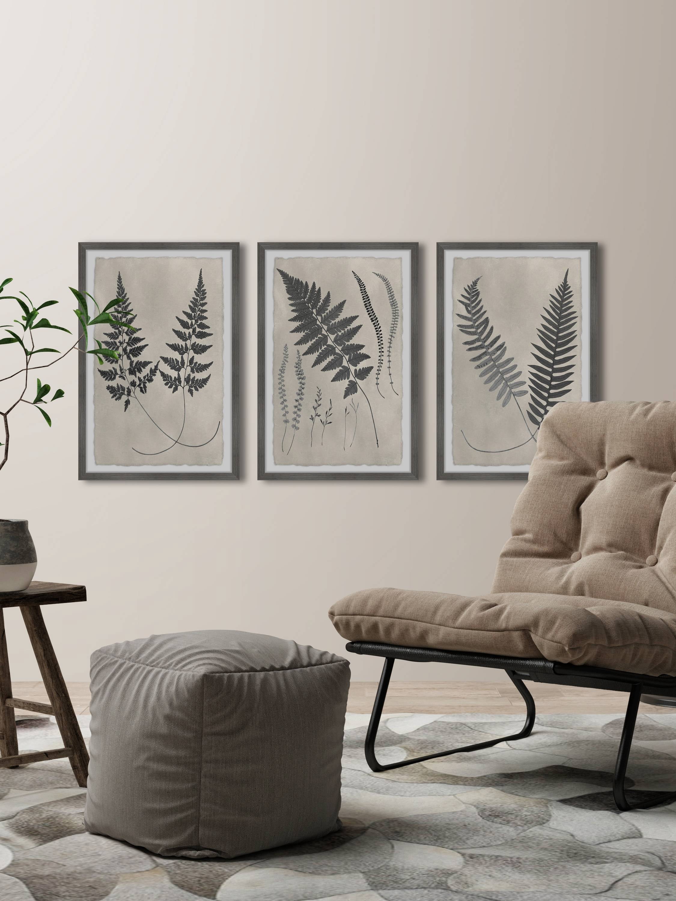 Marmont Hill Vintage Fern Study II Triptych