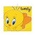 thumbnail image 1 of Alfombrilla para secar platos Tweety Bird XL, alfombrilla de microfibra muy absorbente para encimera de cocina, almohadilla para secar platos, utensilios, ollas y sartenes, extragrande de 16" x 18", 1 of 8