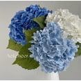 thumbnail image 2 of 5-Piece Realistic Artificial Hydrangea Bouquet with Vibrant Pink Flowers and Green Stems, Perfect for Home, Weddings, Office, and Holiday Decorations | Artificial Flowers for Indoor and Outdoor Use, 2 of 2