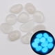 thumbnail image 3 of 100 piezas de guijros de jdín que brillan en , luminosas y alimentadas por luz y energía interior y exterior, césped, céspe blanco CUTICAT Piedras de guijarros luminosos, 3 of 8