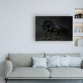 thumbnail image 3 of Trademark Fine Art 'Onyx Horse' Canvas Art by PhotoINC Studio, 3 of 3
