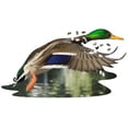 thumbnail image 2 of Madd Capp Puzzles - I AM Duck (1000 pc), 2 of 2
