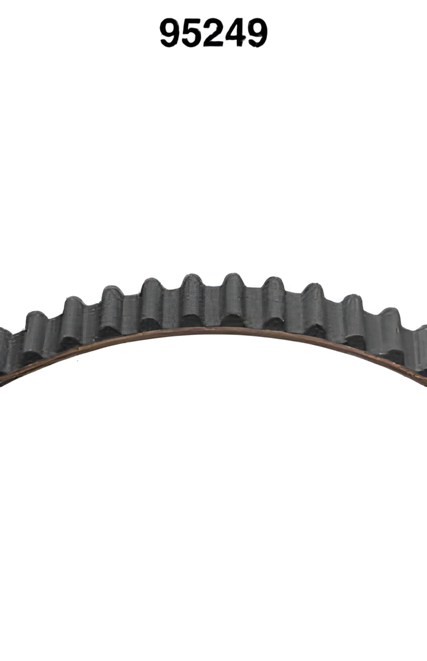 Dayco 95249 - Engine Timing Belt