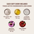 thumbnail image 4 of Rocco & Roxie Dog Allergy Relief Chews with Omega 3 for Dogs, Probiotics for Itching Skin, Stop Paw Licking, Fish Oil Skin and Coat Supplement, Anti-Itch, Pet Itchy Allergies and Immune Support, 60ct, 4 of 9