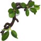 thumbnail image 5 of Rama trepadora de reptiles, ventosa para plantas, decoración de acuarios, árbol de Reptiles de plantas acuáticas para decoración de árboles trepadores, 5 of 5
