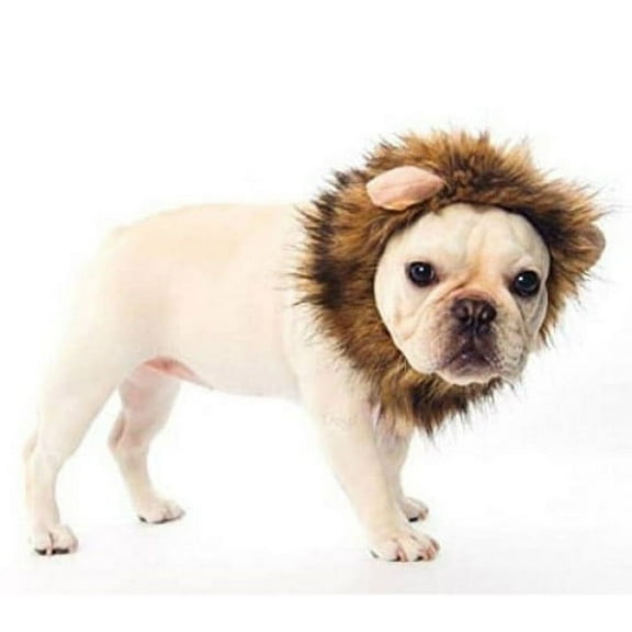 Halloween Lion Pet Costume Hat (M/L)