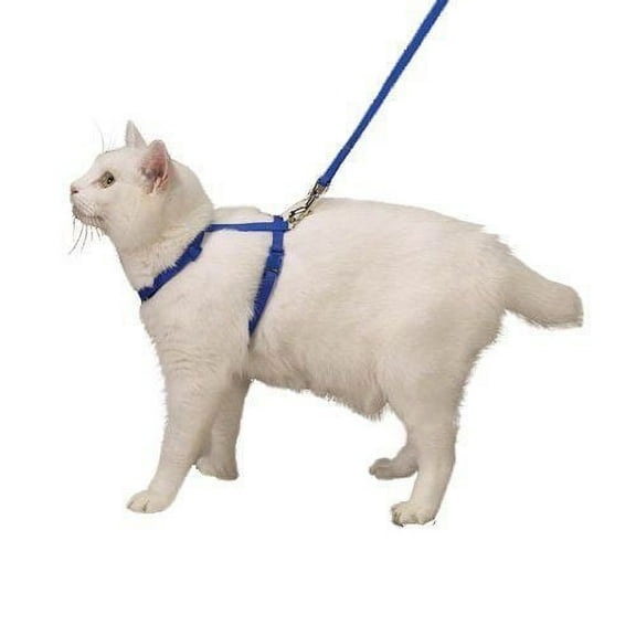 Nylon Adjustable Cat Harness Style and Safety In Blue For Walking or Grooming
