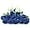 Blue, variant on Zukuco 12Pcs White Rose Artificial Flower, Realistic Single Stem Fake Silk Rose Bouquet for Wedding Party Home Centerpiece Hotel Office Decor