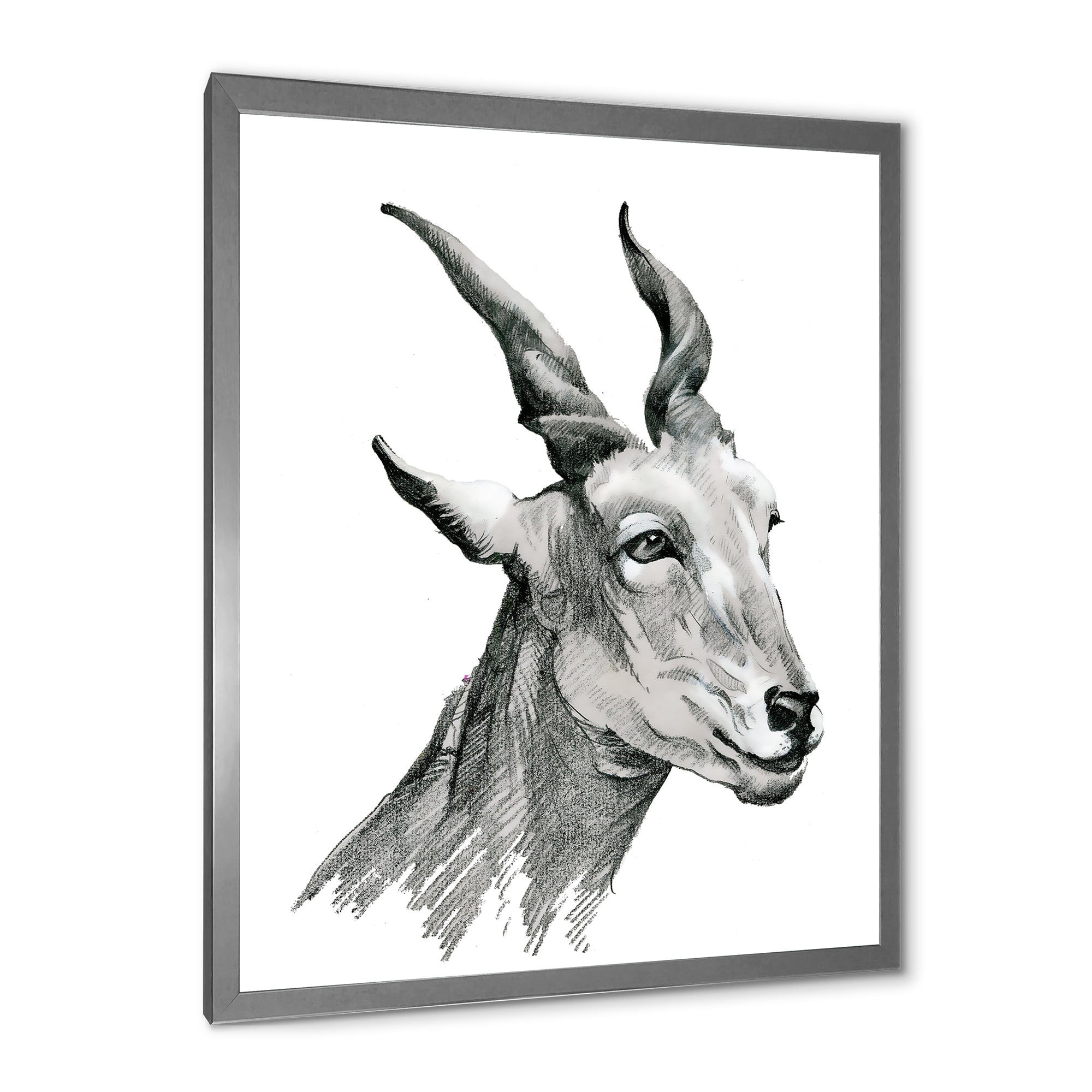 Designart 'Black and White Portrait Of Goat I' Farmhouse Framed Art Print